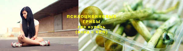 спайс Алзамай