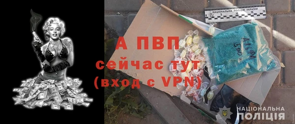 молекула духа Алексин