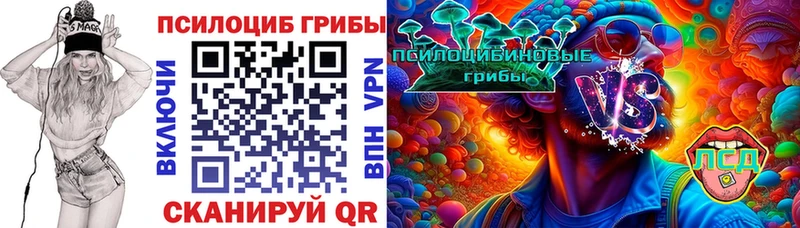 KRAKEN ссылки Артём Псилоцибиновые грибы Magic Shrooms